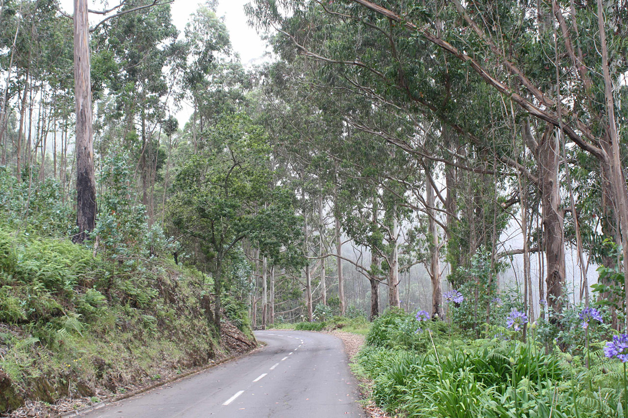Funchal, Madeira